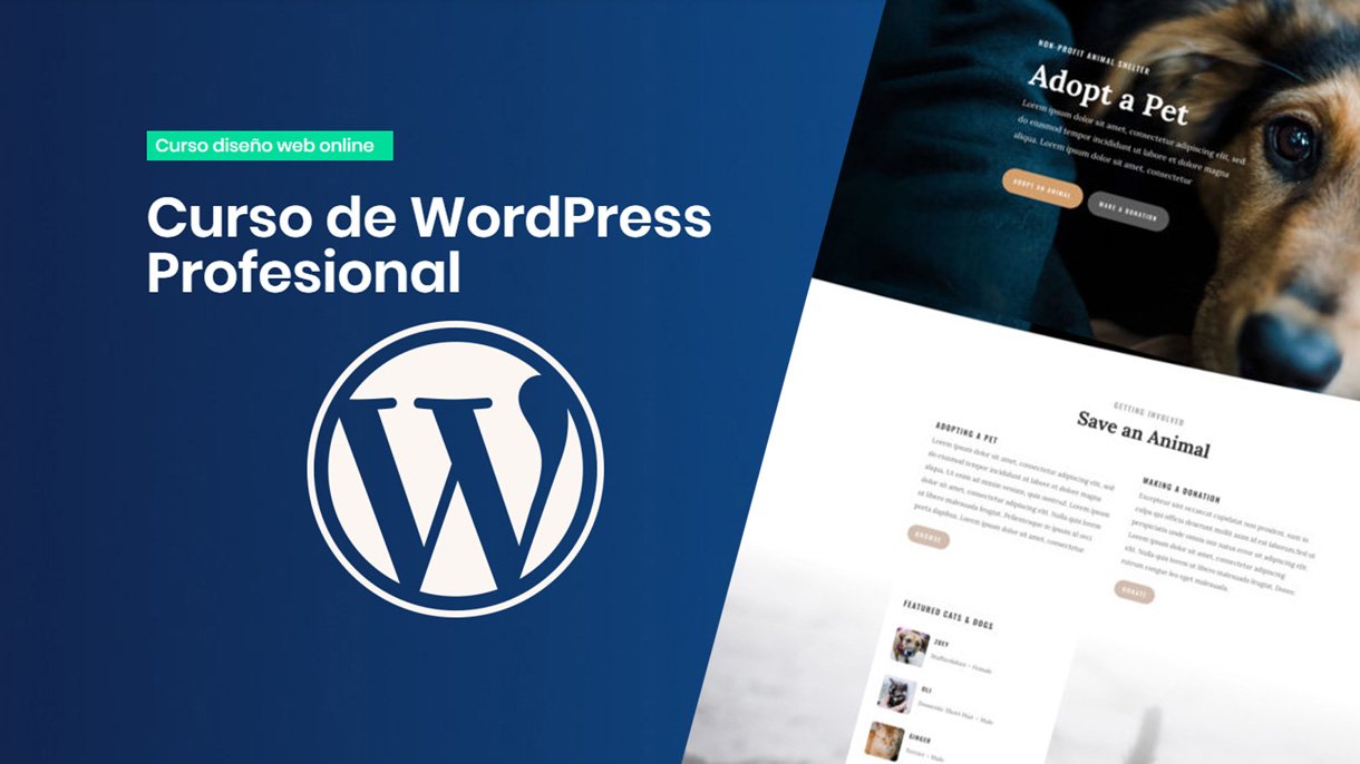 Especializacion en WordPress desde cero hasta Avanzado